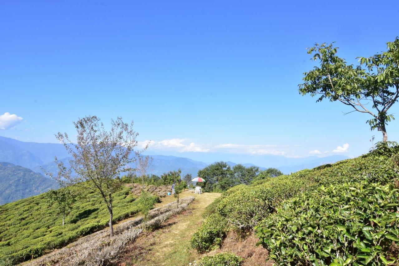 Singtom Tea Estate & Resort Darjeeling  Ngoại thất bức ảnh