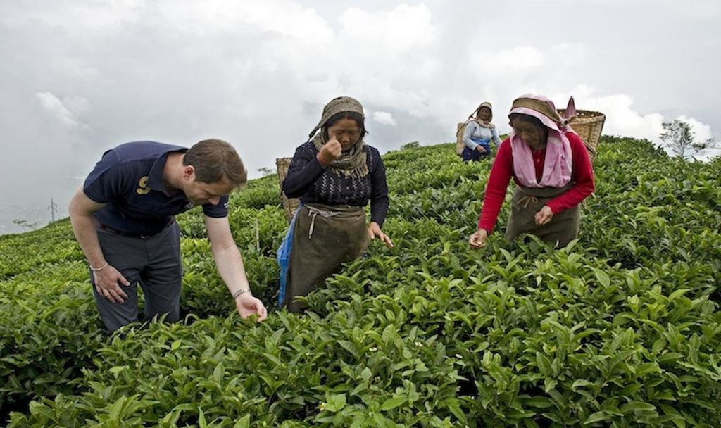 Singtom Tea Estate & Resort Darjeeling  Ngoại thất bức ảnh